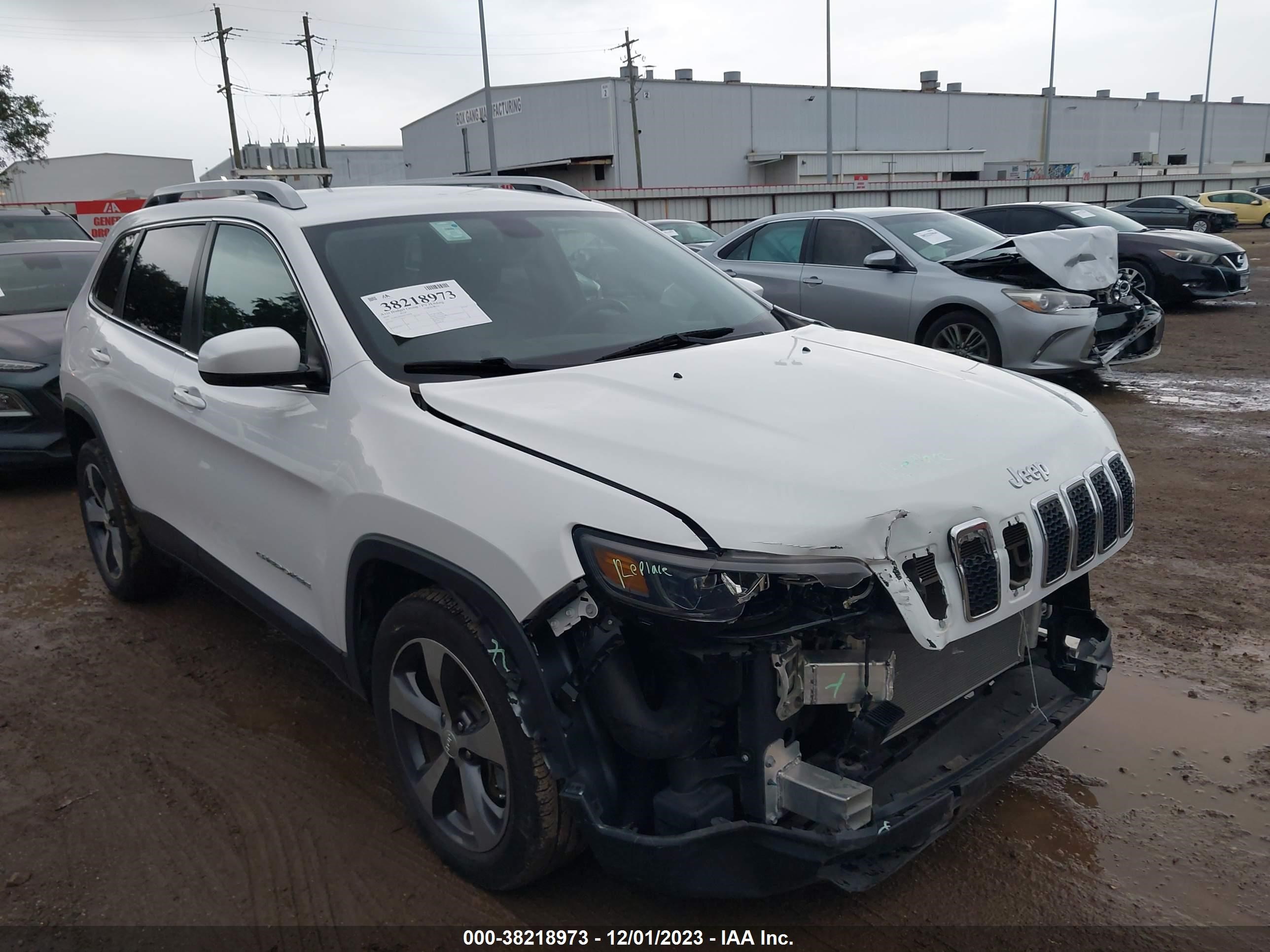 JEEP CHEROKEE 2019 1c4pjldx1kd110958