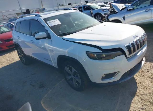 JEEP CHEROKEE 2019 1c4pjldx1kd194120