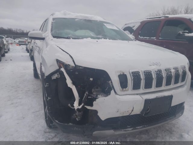 JEEP CHEROKEE 2019 1c4pjldx2kd111049