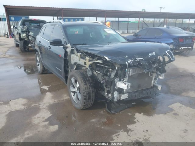 JEEP CHEROKEE 2019 1c4pjldx4kd296947