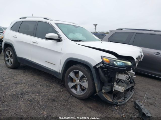 JEEP CHEROKEE 2019 1c4pjldx7kd264042