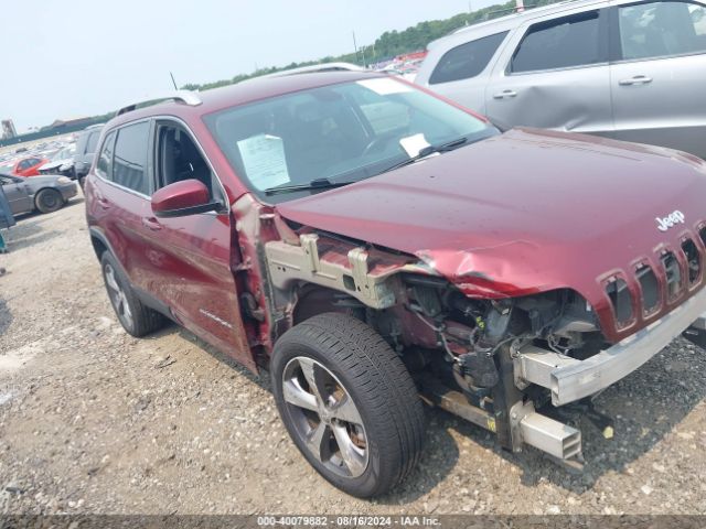 JEEP CHEROKEE 2019 1c4pjldx8kd366420