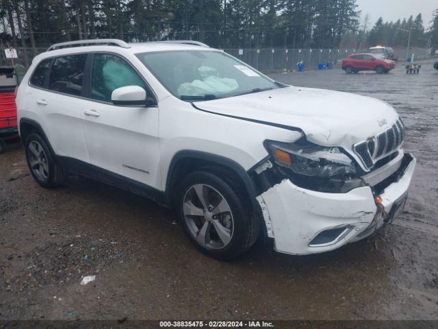 JEEP CHEROKEE 2019 1c4pjldx8kd473919