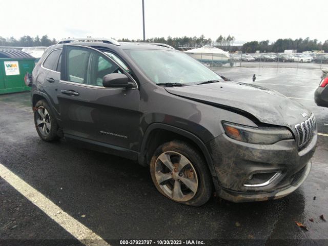 JEEP CHEROKEE 2019 1c4pjldxxkd111512