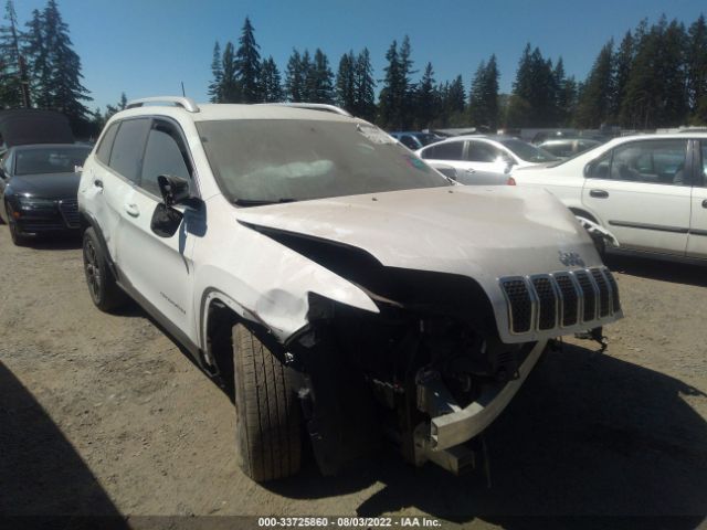 JEEP CHEROKEE 2019 1c4pjllb0kd187455