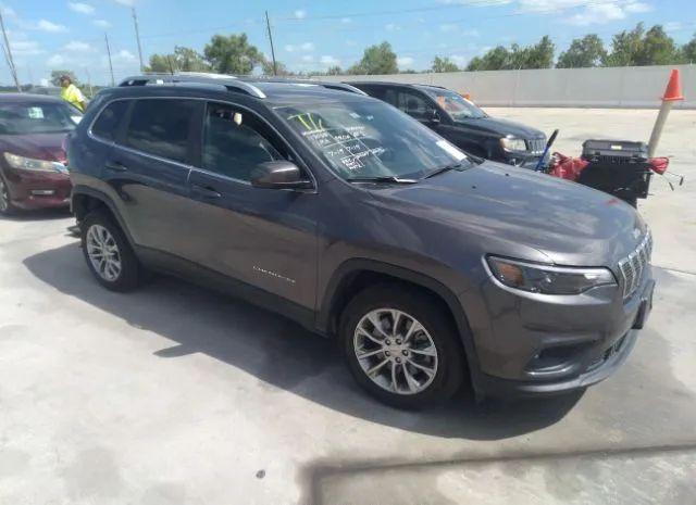 JEEP CHEROKEE 2019 1c4pjllb0kd226397