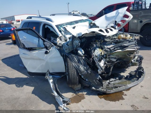 JEEP CHEROKEE 2019 1c4pjllb0kd366594