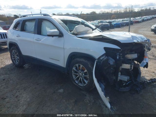 JEEP CHEROKEE 2019 1c4pjllb0kd377188