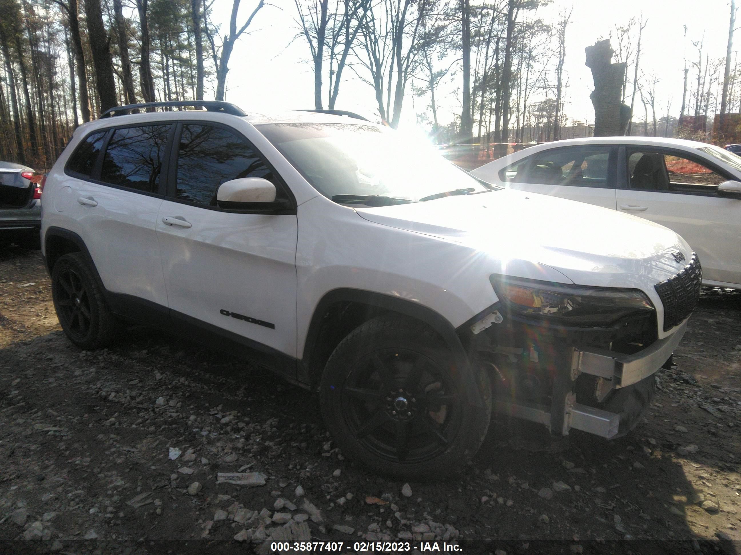 JEEP CHEROKEE 2020 1c4pjllb0ld511621