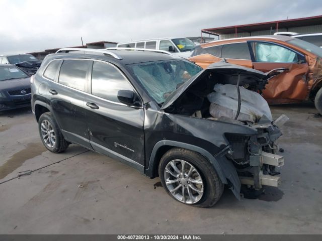 JEEP CHEROKEE 2019 1c4pjllb1kd204196