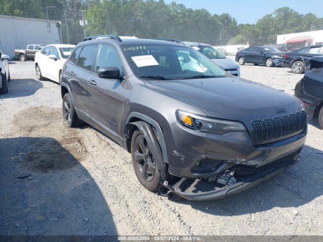 JEEP CHEROKEE 2019 1c4pjllb1kd338917