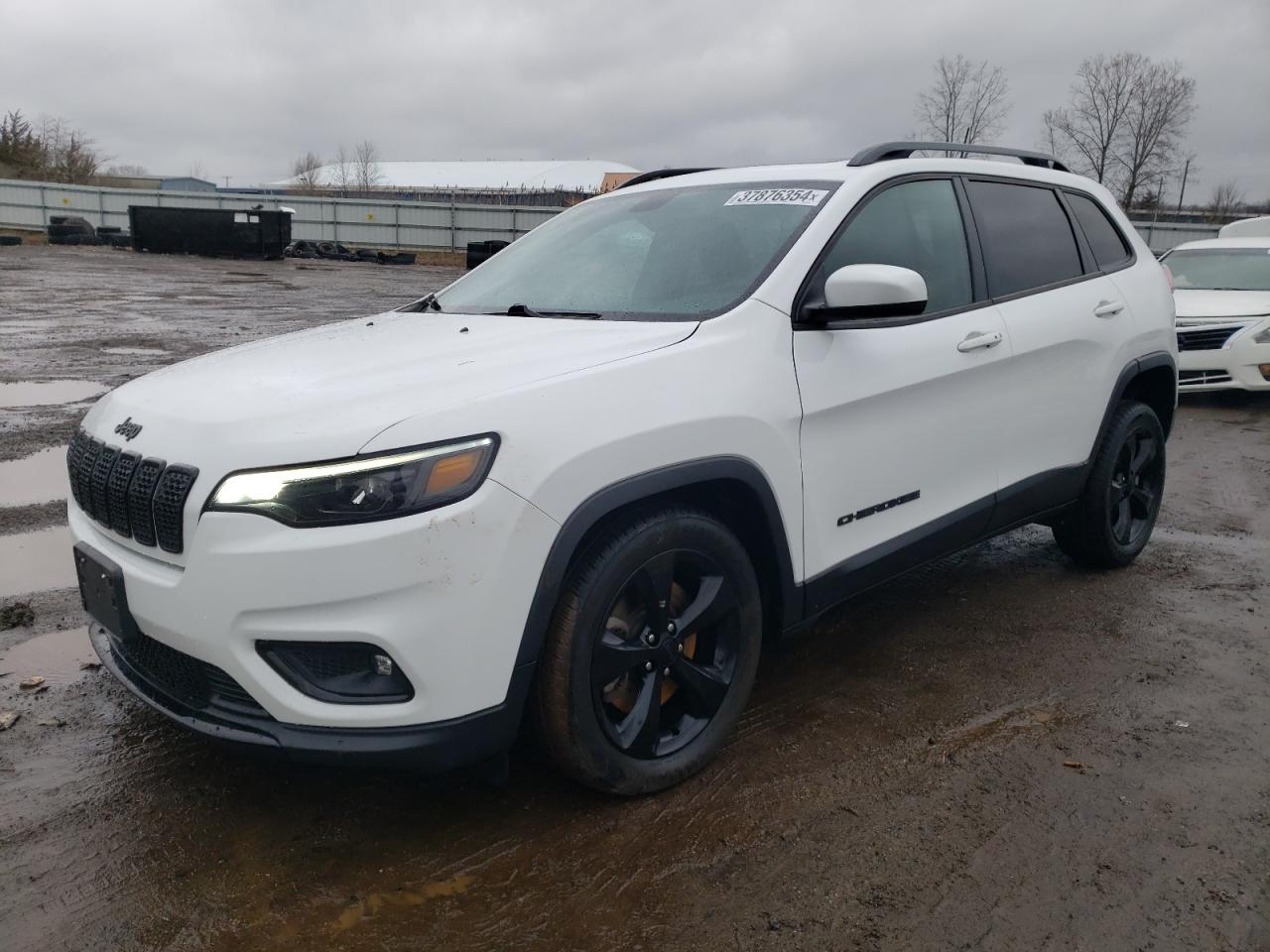 JEEP GRAND CHEROKEE 2019 1c4pjllb1kd411462