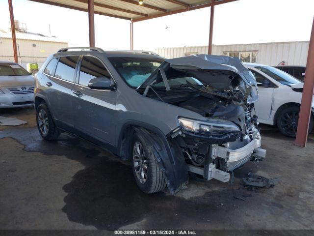 JEEP CHEROKEE 2020 1c4pjllb1ld653783