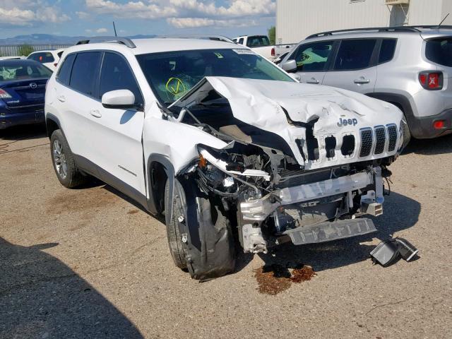 JEEP CHEROKEE L 2019 1c4pjllb2kd225994