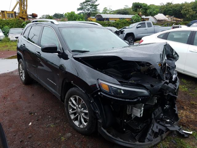 JEEP CHEROKEE L 2019 1c4pjllb3kd206354