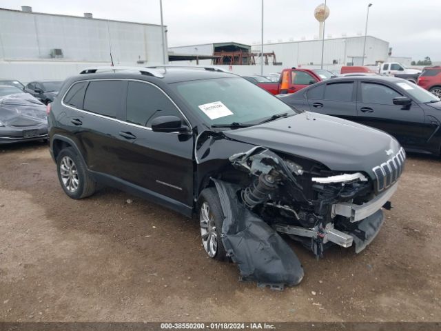 JEEP CHEROKEE 2019 1c4pjllb3kd221078