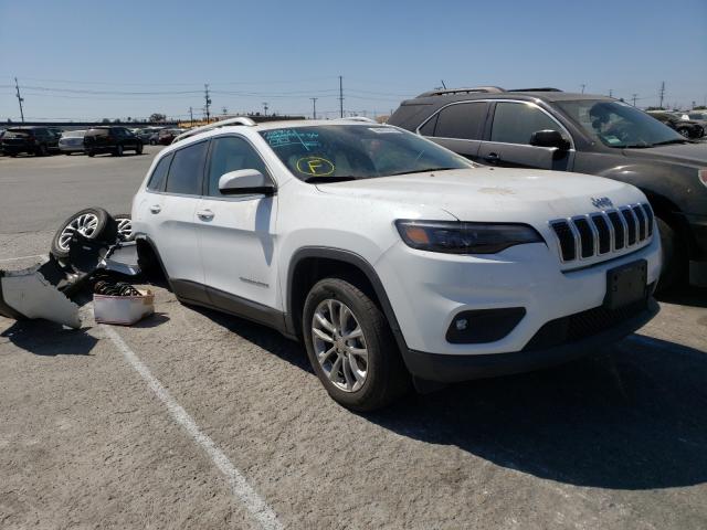 JEEP CHEROKEE L 2019 1c4pjllb3kd270247