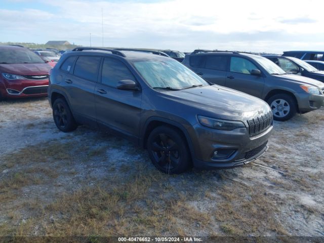 JEEP CHEROKEE 2019 1c4pjllb3kd291471