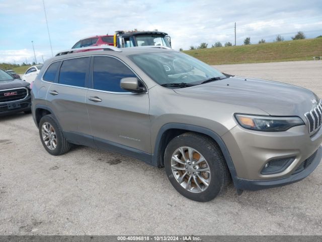 JEEP CHEROKEE 2019 1c4pjllb3kd383759