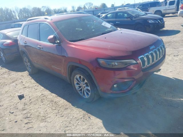 JEEP CHEROKEE 2019 1c4pjllb4kd204337