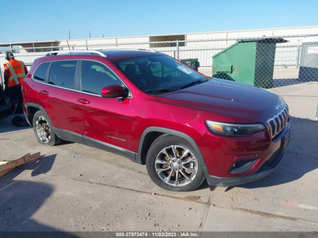 JEEP CHEROKEE 2019 1c4pjllb4kd395810