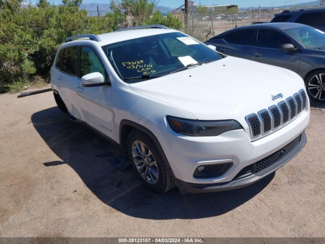 JEEP CHEROKEE 2021 1c4pjllb4md150301