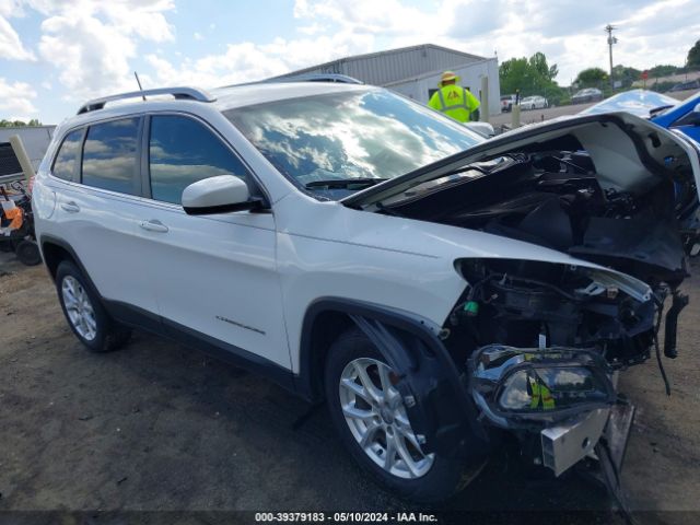 JEEP CHEROKEE 2018 1c4pjllb5jd519811