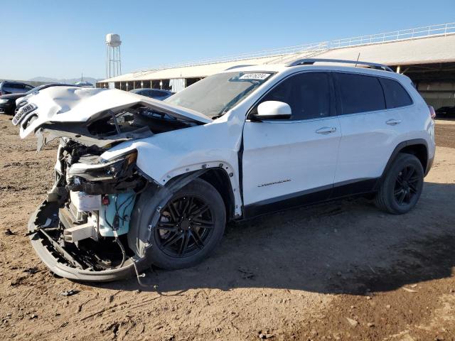 JEEP GRAND CHEROKEE 2019 1c4pjllb5kd111035