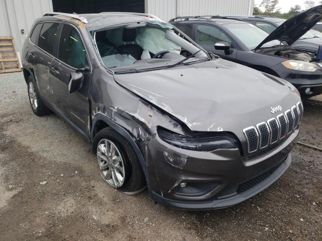 JEEP CHEROKEE L 2019 1c4pjllb5kd151793