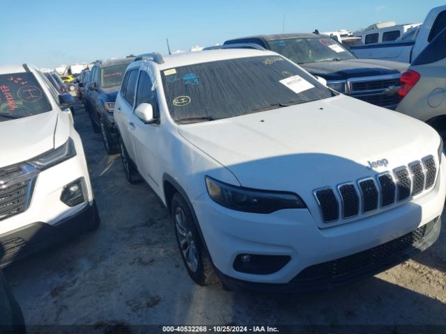 JEEP CHEROKEE 2019 1c4pjllb5kd154256