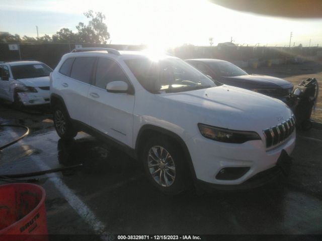 JEEP CHEROKEE 2019 1c4pjllb5kd202936