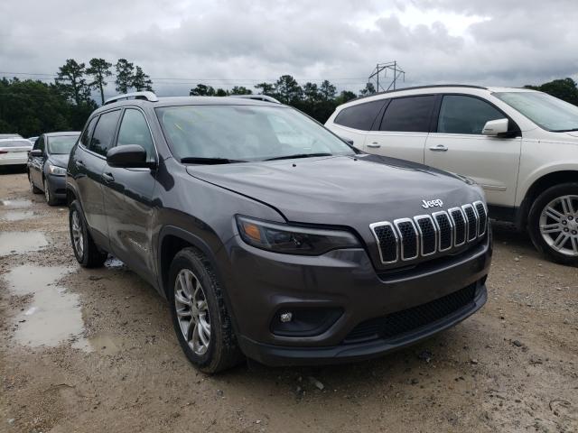 JEEP CHEROKEE L 2019 1c4pjllb5kd249481