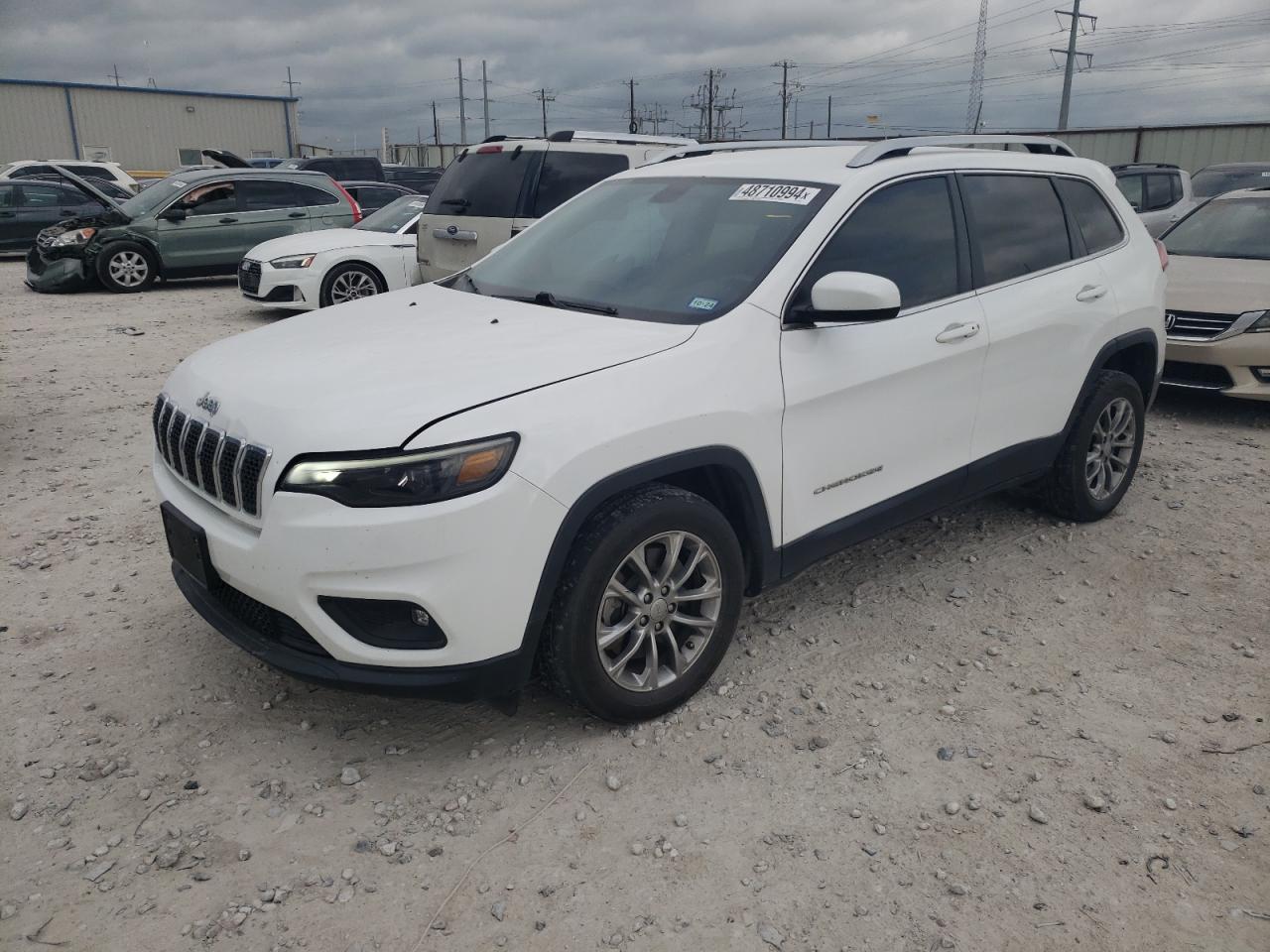 JEEP GRAND CHEROKEE 2019 1c4pjllb6kd145467