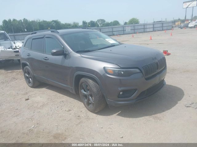 JEEP CHEROKEE 2019 1c4pjllb6kd339240