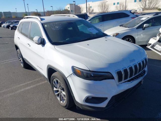 JEEP CHEROKEE 2020 1c4pjllb6ld593077