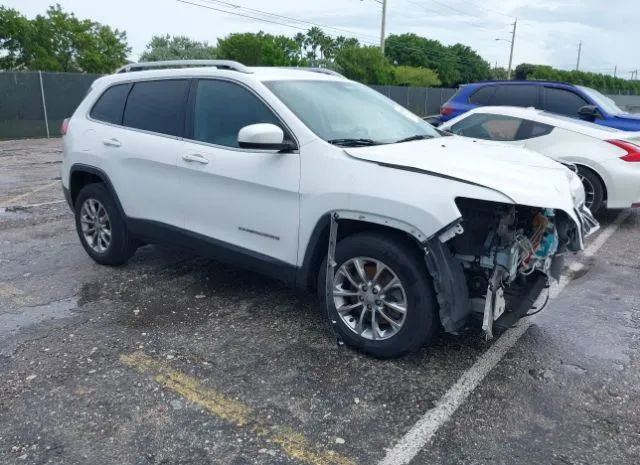 JEEP CHEROKEE 2019 1c4pjllb7kd111702