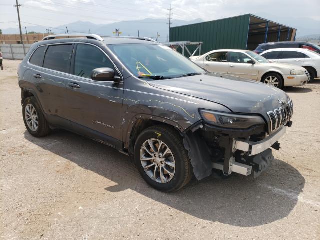 JEEP CHEROKEE L 2019 1c4pjllb7kd221391