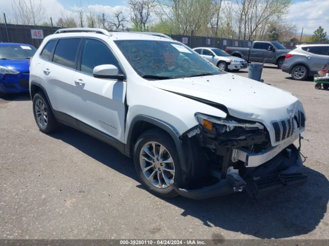 JEEP CHEROKEE 2019 1c4pjllb8kd122787