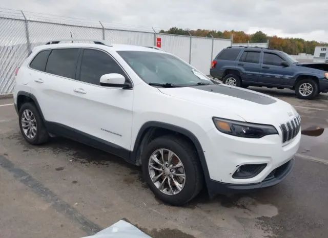 JEEP CHEROKEE 2019 1c4pjllb8kd164652