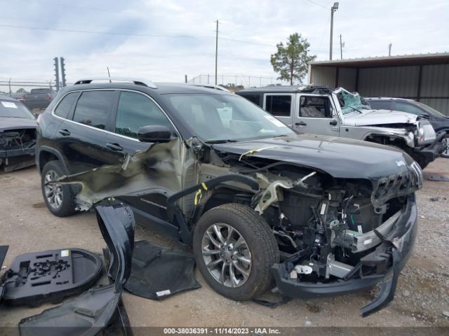 JEEP CHEROKEE 2019 1c4pjllb8kd387578