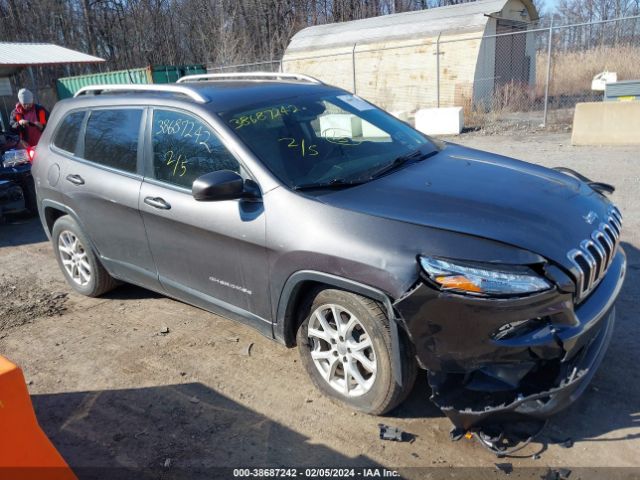 JEEP CHEROKEE 2017 1c4pjllbxjd604515