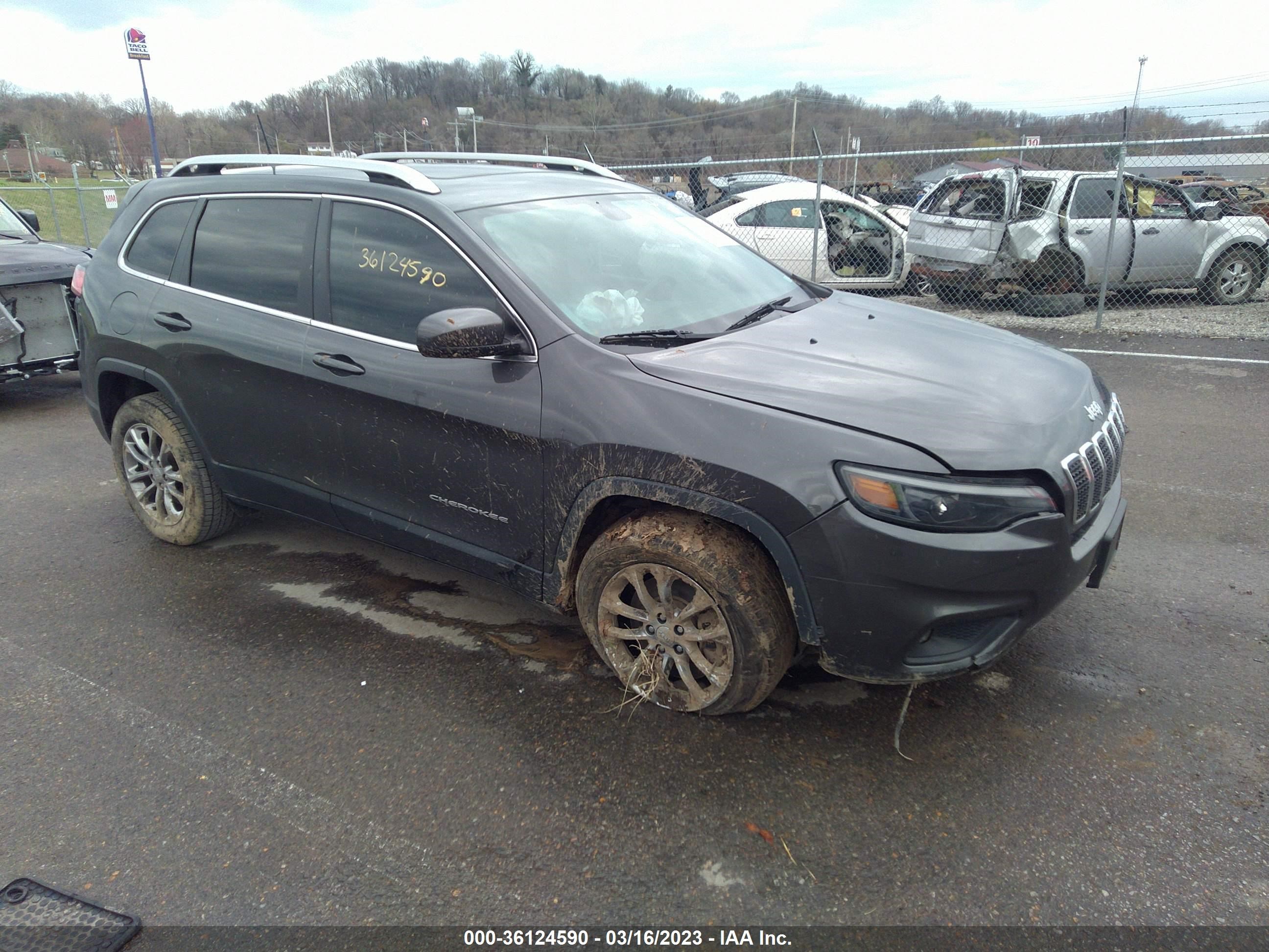 JEEP CHEROKEE 2019 1c4pjllbxkd109667