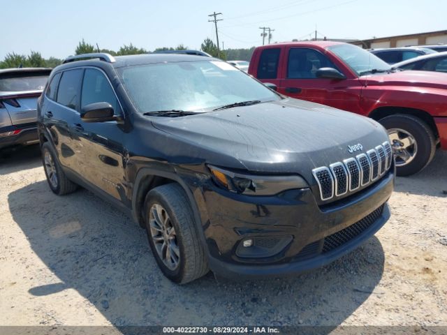 JEEP CHEROKEE 2019 1c4pjllbxkd120040