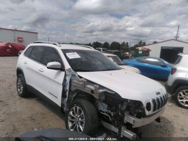 JEEP CHEROKEE 2019 1c4pjllbxkd145147