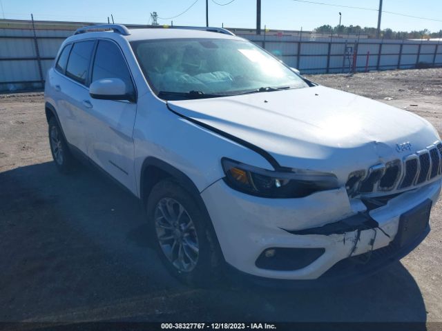 JEEP CHEROKEE 2019 1c4pjllbxkd176009