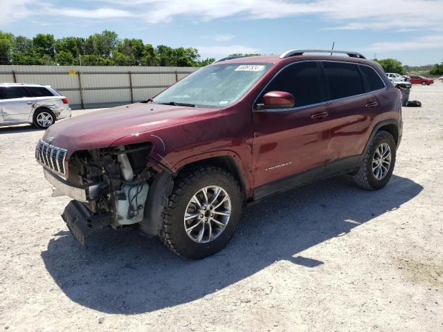 JEEP GRAND CHEROKEE 2019 1c4pjllbxkd176222