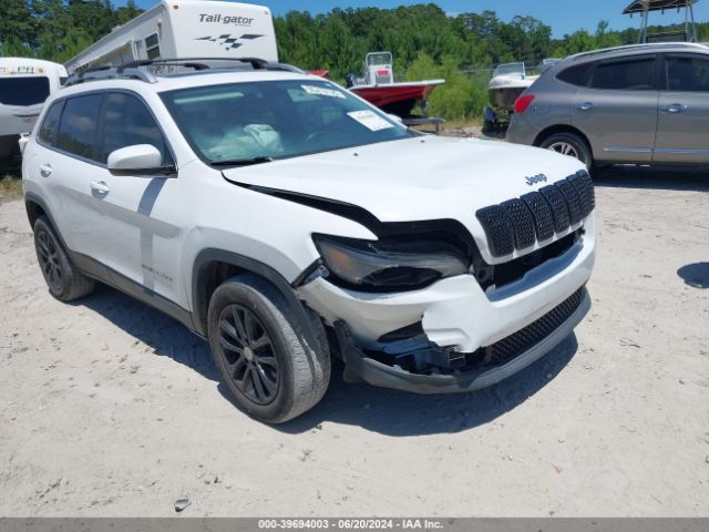 JEEP CHEROKEE 2019 1c4pjllbxkd205959