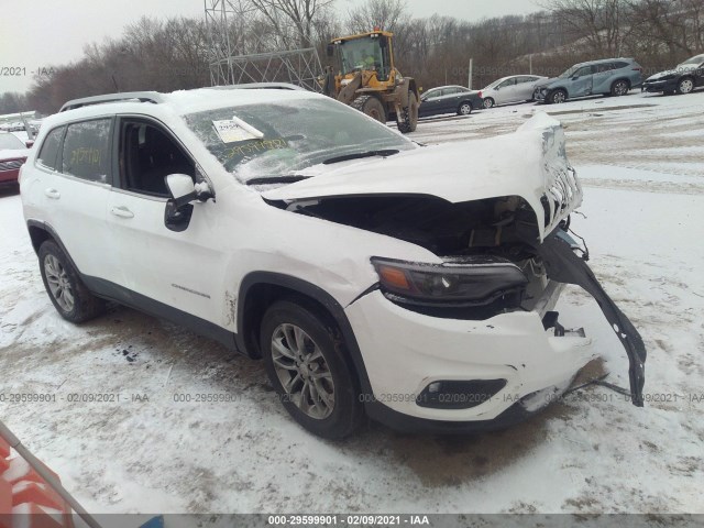 JEEP CHEROKEE 2019 1c4pjllbxkd206402