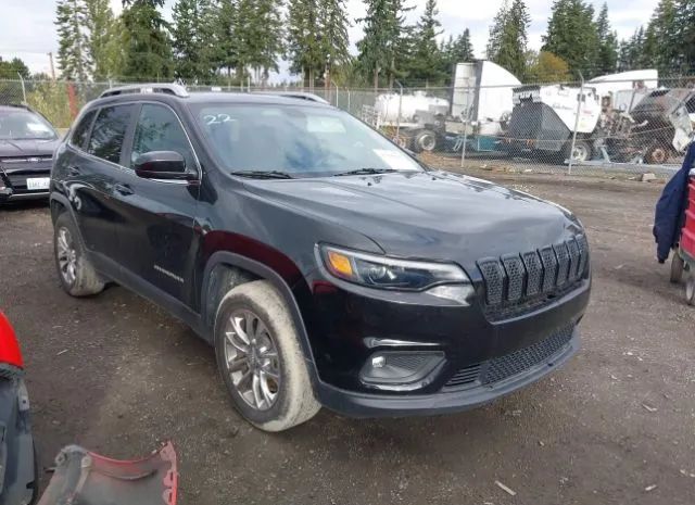 JEEP CHEROKEE 2019 1c4pjllbxkd207811