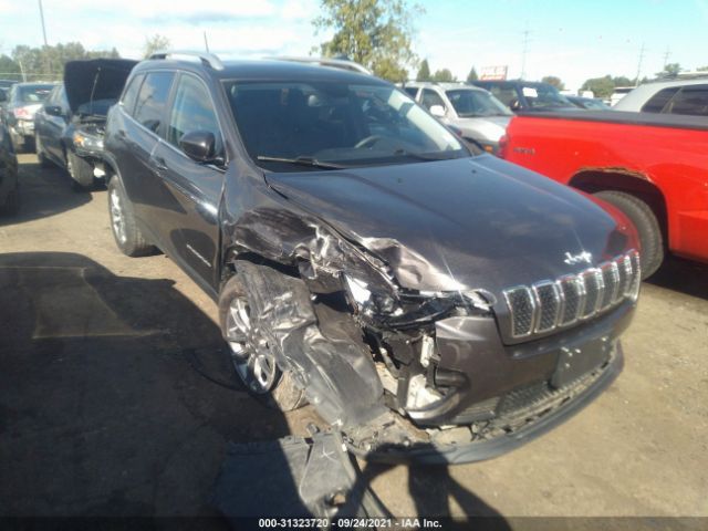 JEEP CHEROKEE 2019 1c4pjllbxkd247239